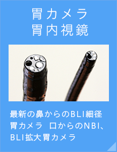 胃カメラ胃内視鏡 最新の鼻から胃カメラ　口からのNBI拡大胃カメラ